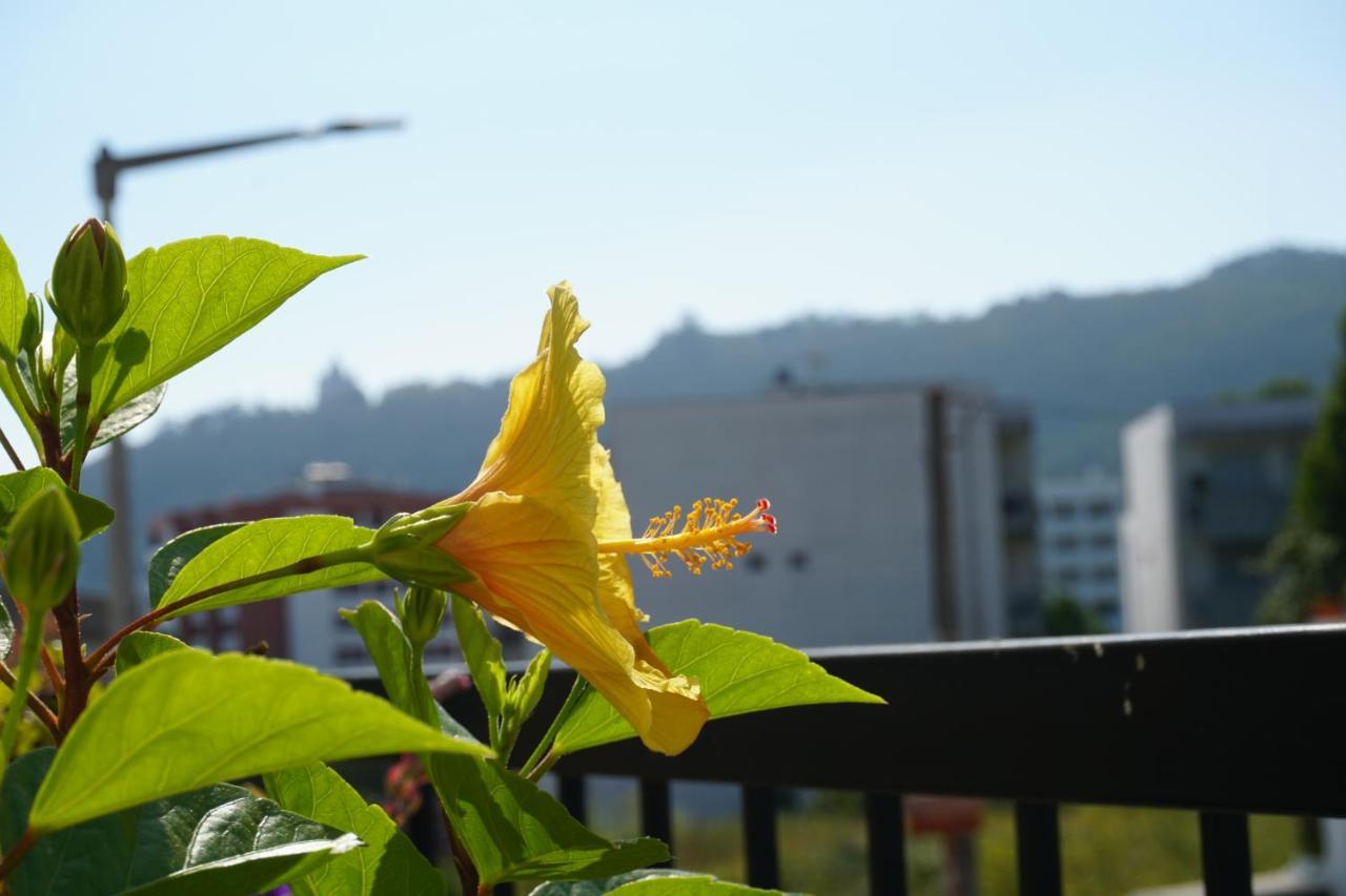 ויאנה דו קסטלו Jardim Da Celeste מראה חיצוני תמונה