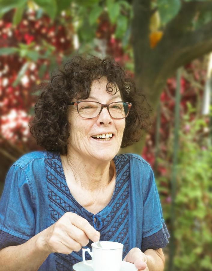 ויאנה דו קסטלו Jardim Da Celeste מראה חיצוני תמונה