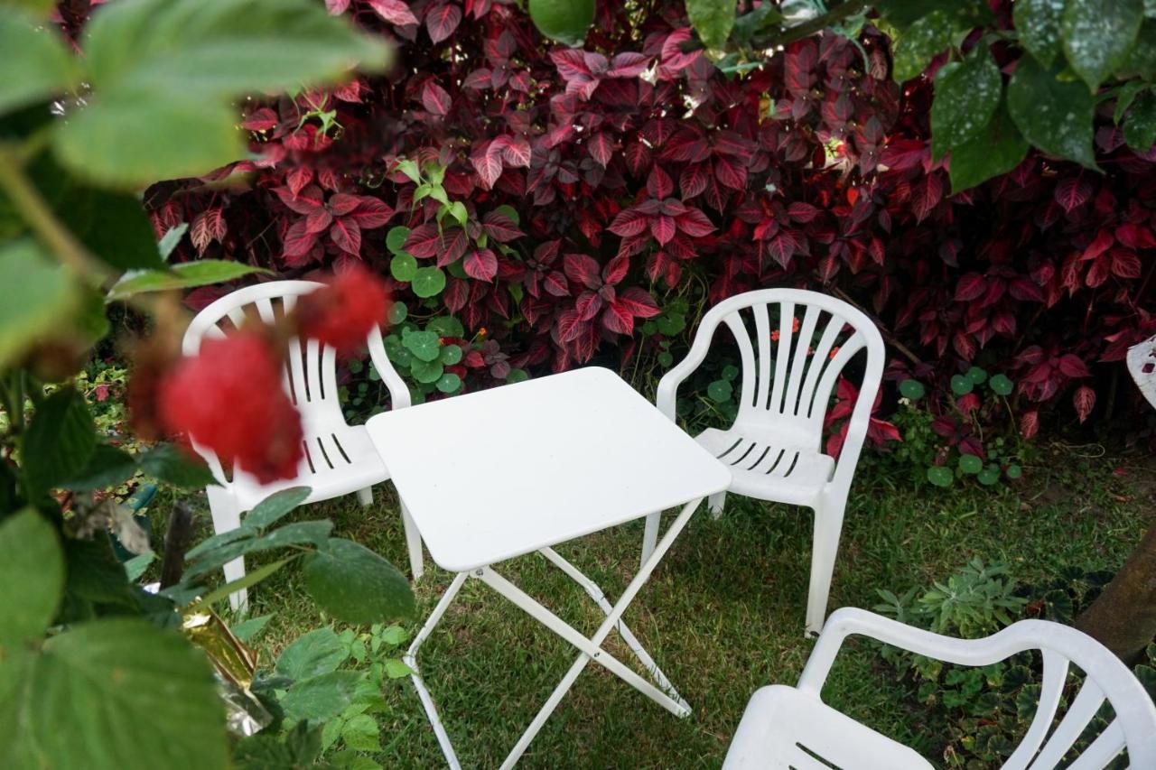ויאנה דו קסטלו Jardim Da Celeste מראה חיצוני תמונה